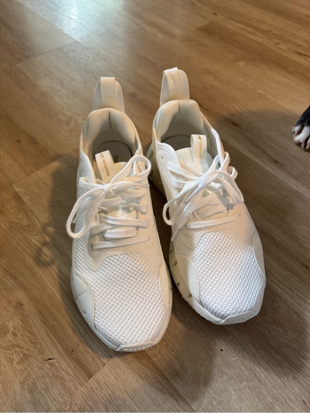Reebok Sneakers